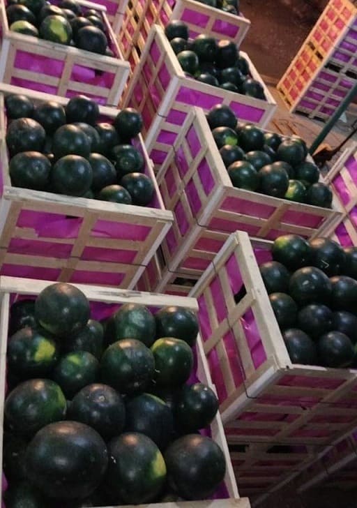 Aton Green Egypt Fresh Fruits & Vegetables